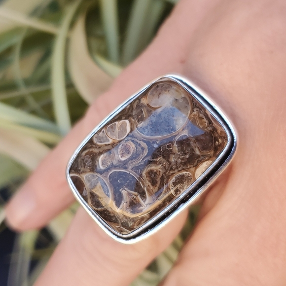 New Turritella Agate Fossil 925 Silver Ring. - Picture 2 of 15